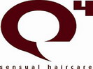 Q4Logo
